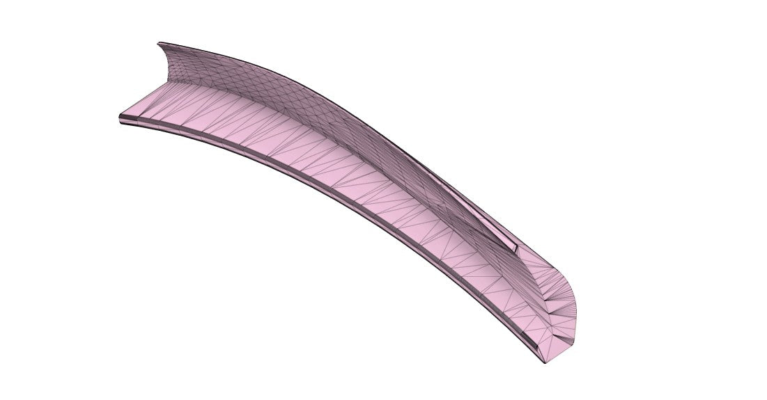 3D scan model